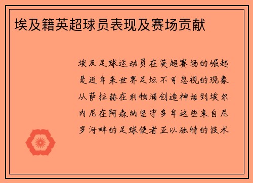 埃及籍英超球员表现及赛场贡献